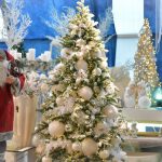 Tippek, Hogy A Legjobb Karácsonyfát Vásárolja Meg Otthonába