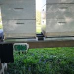 A méhcsalád mérlegelése és a kaptár ideális elhelyezése